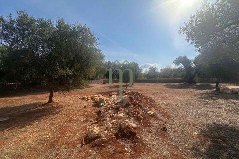 Villa i Carovigno, Brindisi, Carovigno - € 340.000 | Ref: Villa Casellini - foto 42